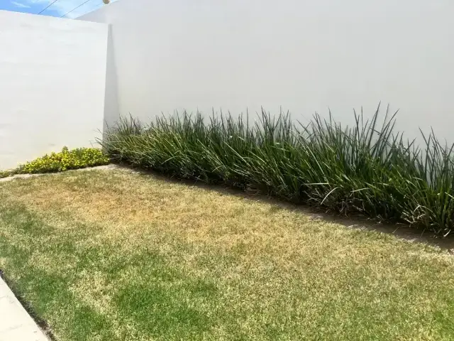 Casa en venta en Lomas, Torreón · Modelo Cancún — foto 44