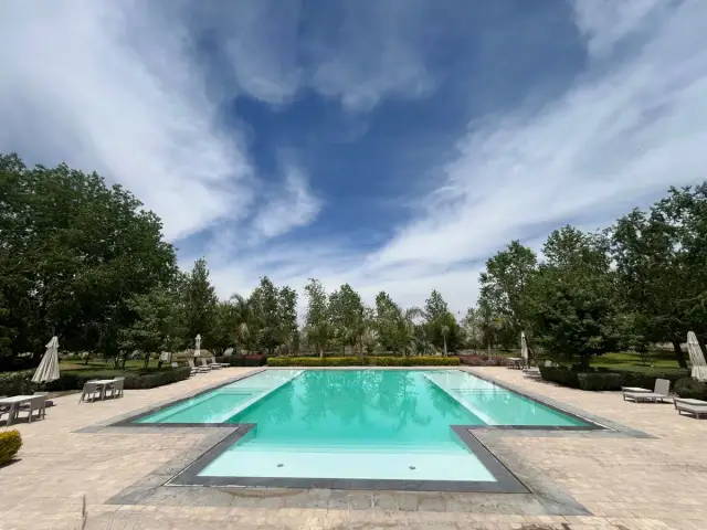 Terreno en venta en La Gran Vinicola, Gómez Palacio — foto 12