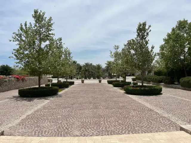 Terreno en venta en La Gran Vinicola, Gómez Palacio — foto 11
