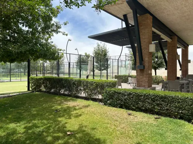 Terreno en venta en La Gran Vinicola, Gómez Palacio — foto 7