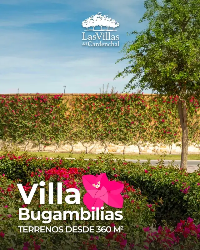 Terreno en venta en Las Villas del Cardenchal, Torreón · Modelo Villa Bugambilias — foto 12