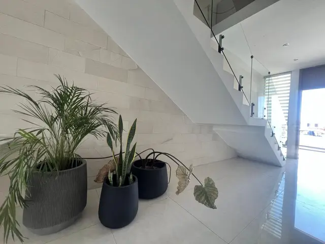 Casa en venta en Los Viñedos, Torreón · Modelo Sevilla — foto 12