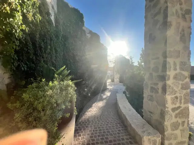 Terreno en venta en La Cava Residencial, Gómez Palacio · Modelo Privada Verdejo — foto 12