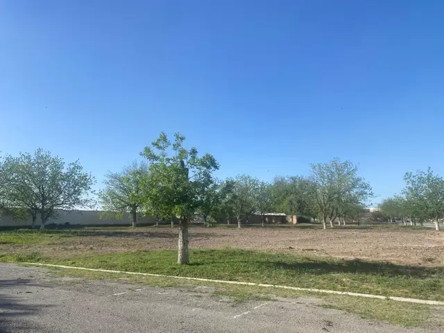 Terreno en venta en San Armando, Torreón — foto 8