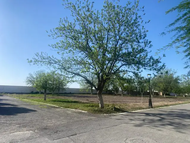 Terreno en venta en San Armando, Torreón — foto 9