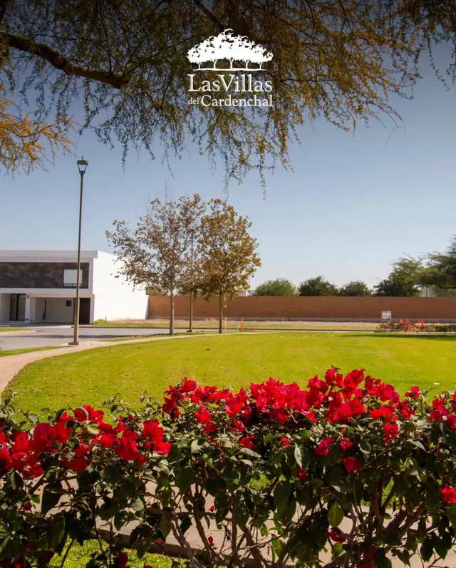 Terreno en venta en Las Villas del Cardenchal, Torreón · Modelo Villa Sábilas — foto 12