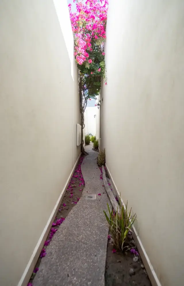 Casa en venta en Las Trojes, Torreón — foto 22